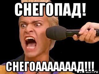 снегопад! снегоааааааад!!!, Мем Адвокат