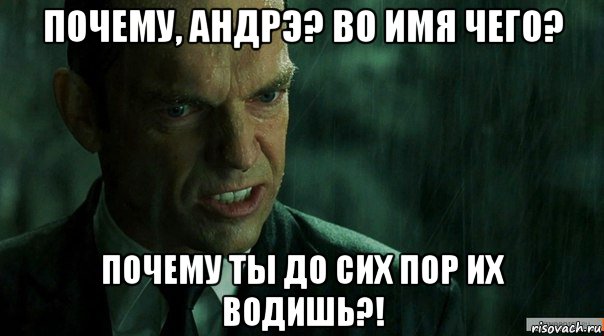 почему, андрэ? во имя чего? почему ты до сих пор их водишь?!, Мем агент смит