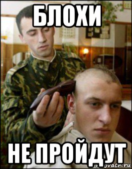 блохи не пройдут, Мем АРМИЯ