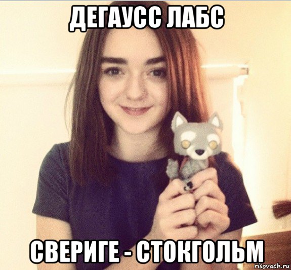 дегаусс лабс свериге - стокгольм, Мем Арья