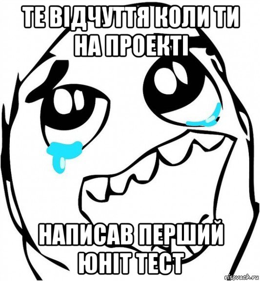 те відчуття коли ти на проекті написав перший юніт тест, Мем  Плачет от радости