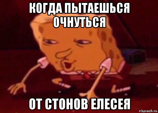 когда пытаешься очнуться от стонов елесея, Мем    Bettingmemes