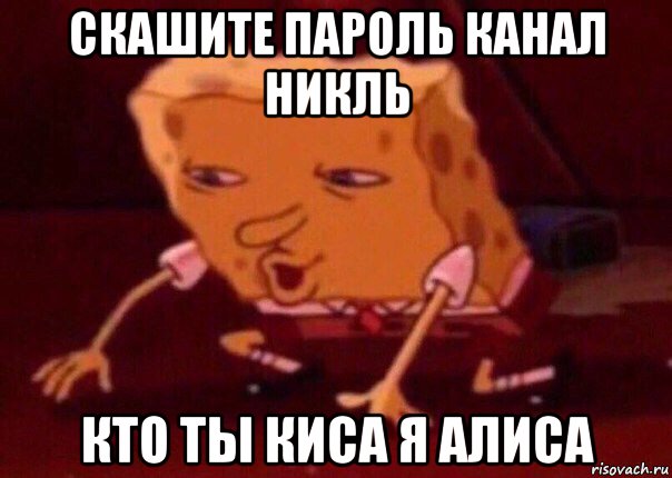 скашите пароль канал никль кто ты киса я алиса, Мем    Bettingmemes