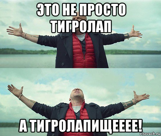 это не просто тигролап а тигролапищееее!