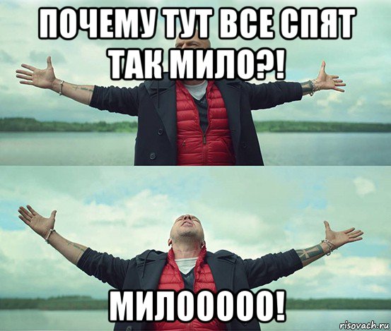 почему тут все спят так мило?! милооооо!, Мем Безлимитище