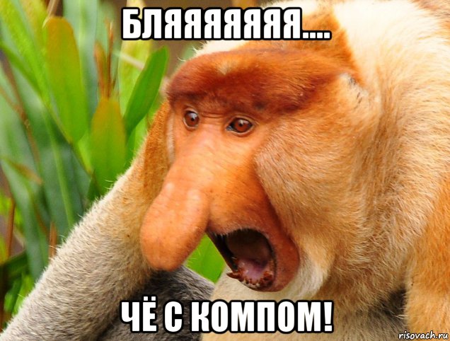 бляяяяяяя.... чё с компом!, Мем Бляяяяя