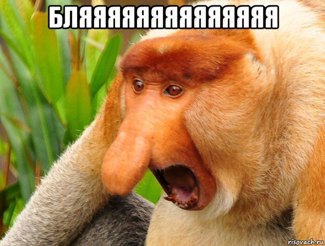 бляяяяяяяяяяяяяя , Мем Бляяяяя