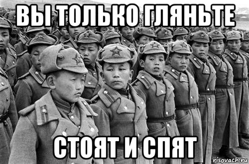 вы только гляньте стоят и спят