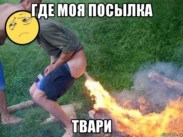 где моя посылка твари
