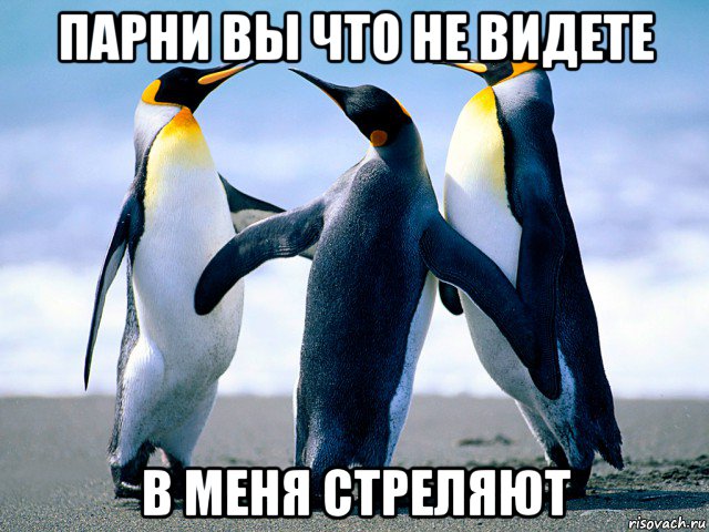 парни вы что не видете в меня стреляют
