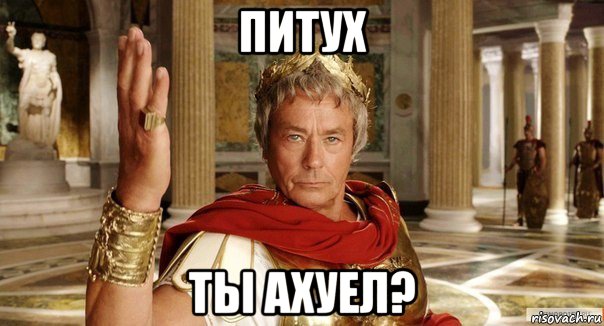 питух ты ахуел?