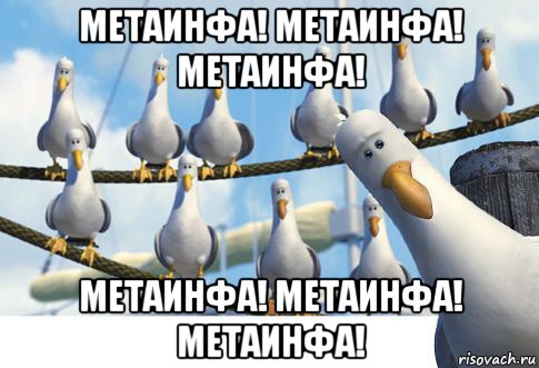 метаинфа! метаинфа! метаинфа! метаинфа! метаинфа! метаинфа!