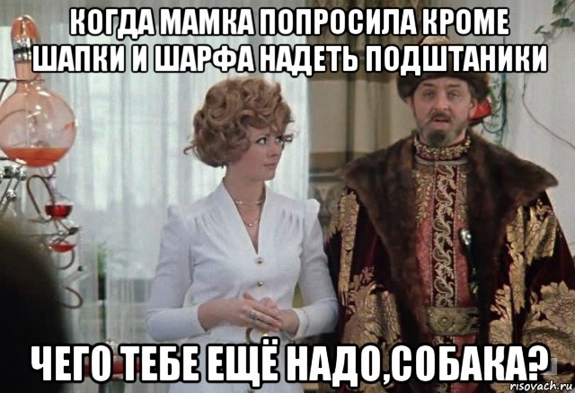 когда мамка попросила кроме шапки и шарфа надеть подштаники чего тебе ещё надо,собака?, Мем Чего тебе надо собака