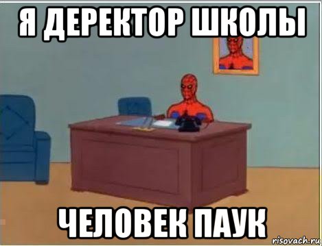 я деректор школы человек паук, Мем Человек паук