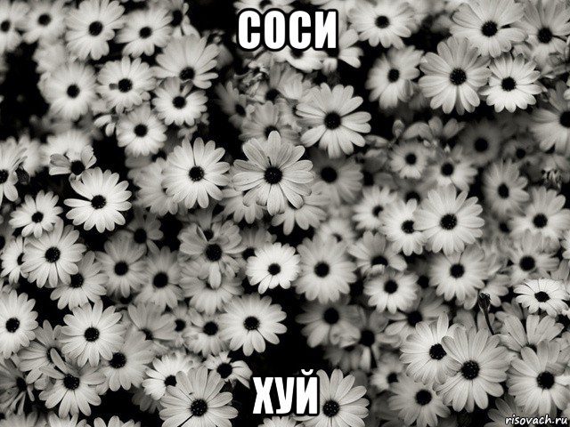соси хуй
