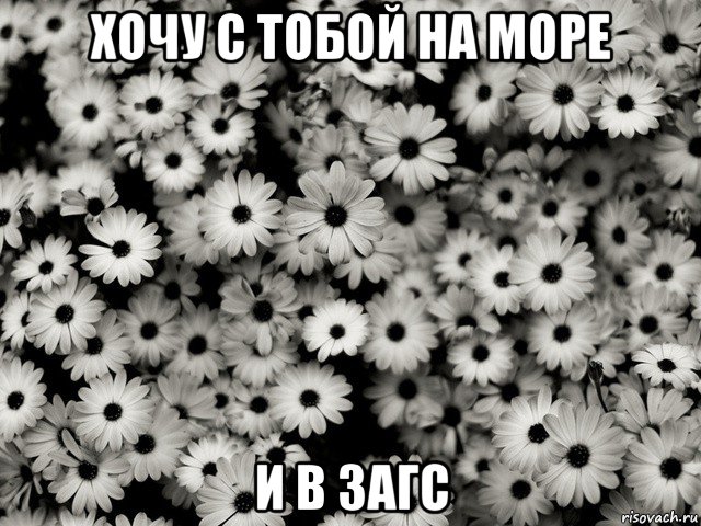 хочу с тобой на море и в загс
