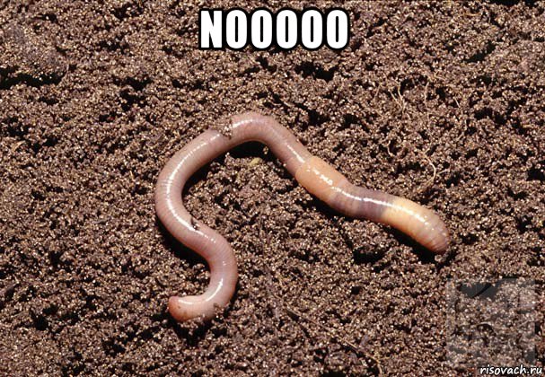 nooooo 