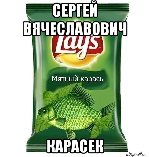 сергей вячеславович карасек