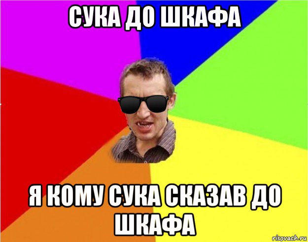 сука до шкафа я кому сука сказав до шкафа