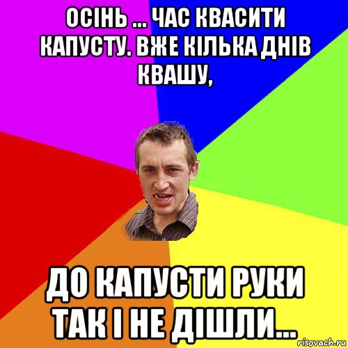 осінь ... час квасити капусту. вже кілька днів квашу, до кaпусти руки так і не дішли..., Мем Чоткий паца