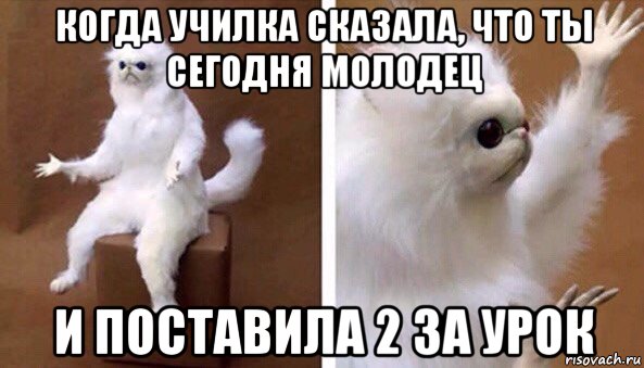 когда училка сказала, что ты сегодня молодец и поставила 2 за урок, Мем Чучело кота