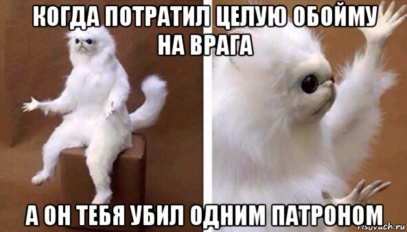 когда потратил целую обойму на врага а он тебя убил одним патроном, Мем Чучело кота