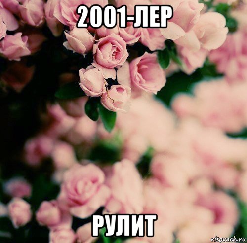 2001-лер рулит