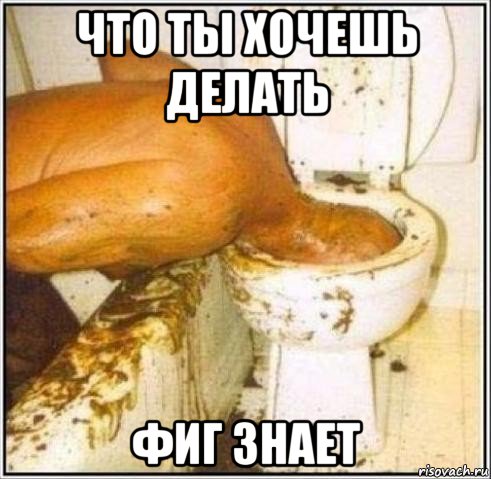 что ты хочешь делать фиг знает, Мем Дайвер