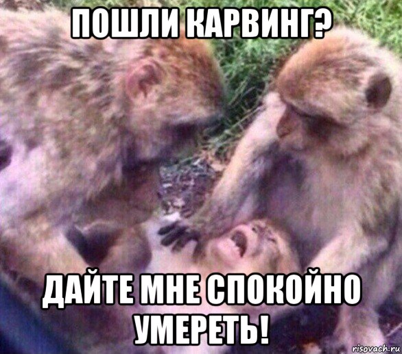 пошли карвинг? дайте мне спокойно умереть!