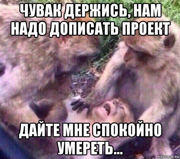 чувак держись, нам надо дописать проект дайте мне спокойно умереть...