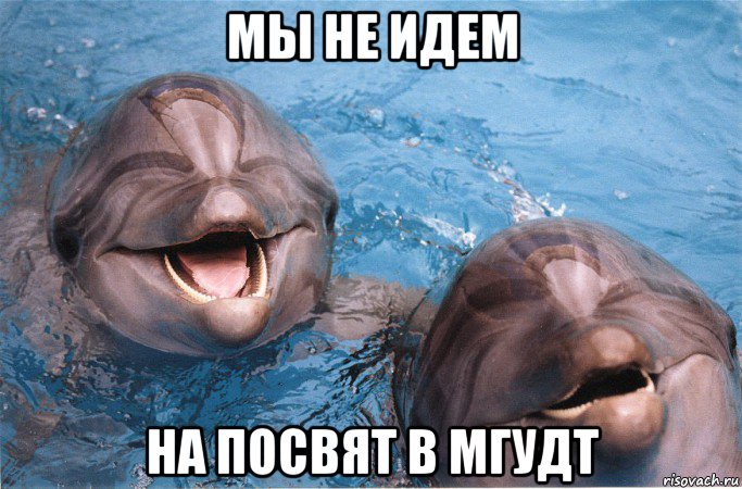 мы не идем на посвят в мгудт