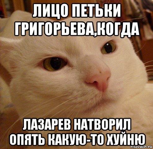 лицо петьки григорьева,когда лазарев натворил опять какую-то хуйню, Мем Дерзкий котэ