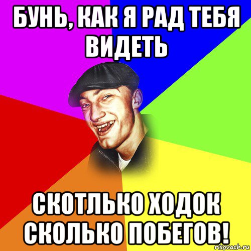 бунь, как я рад тебя видеть скотлько ходок сколько побегов!, Мем ДЕРЗКИЙ БЫДЛОМЁТ