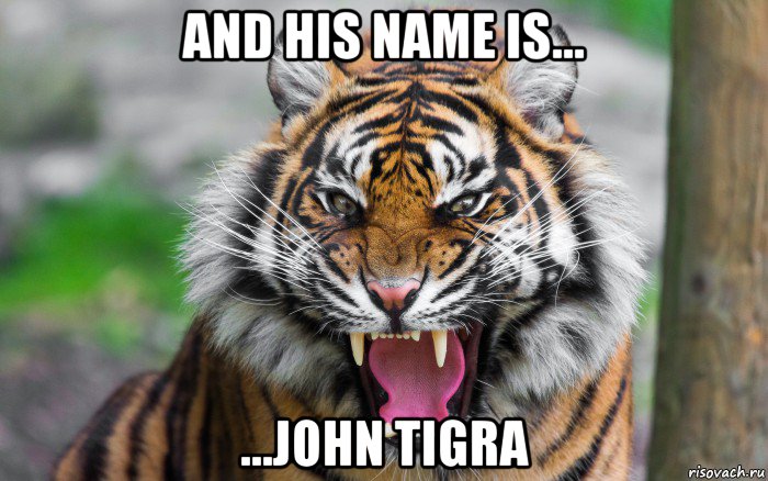 and his name is... ...john tigra, Мем ДЕРЗКИЙ ТИГР