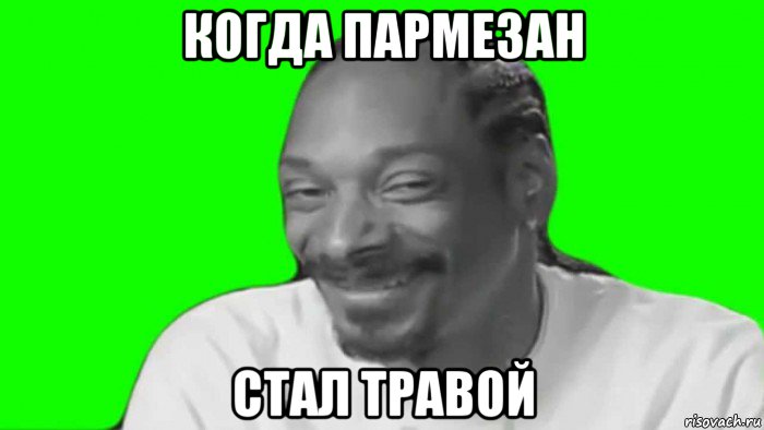 когда пармезан стал травой