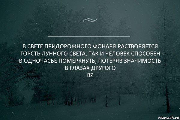 В свете придорожного фонаря растворяется горсть лунного света, так и человек способен в одночасье померкнуть, потеряв значимость в глазах другого
BZ