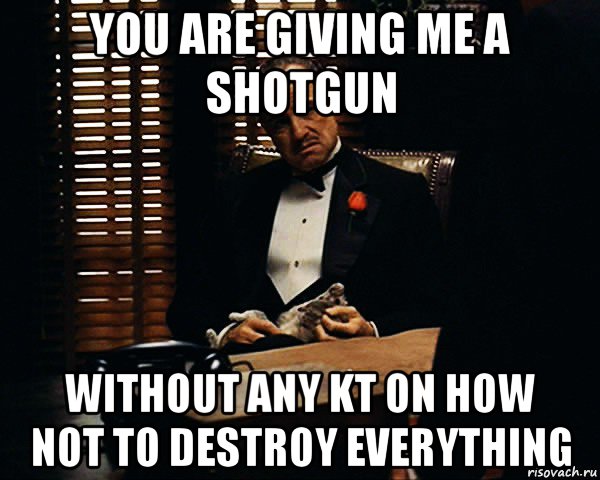 you are giving me a shotgun without any kt on how not to destroy everything, Мем Дон Вито Корлеоне