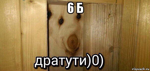 6 б , Мем  Дратути