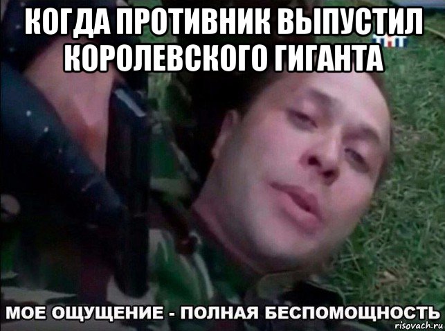 когда противник выпустил королевского гиганта 