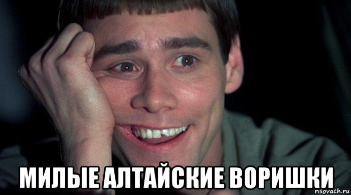  милые алтайские воришки, Мем Джим Керри