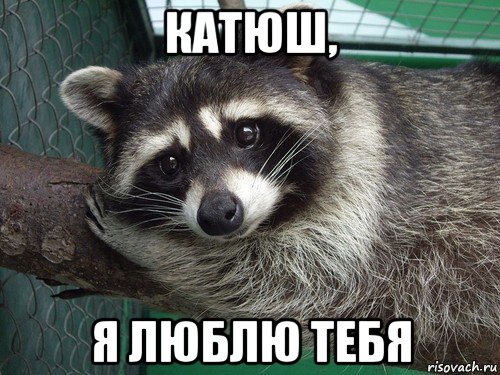 катюш, я люблю тебя
