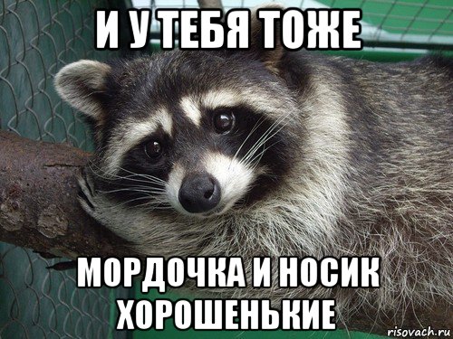 и у тебя тоже мордочка и носик хорошенькие