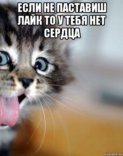 если не паставиш лайк то у тебя нет сердца 