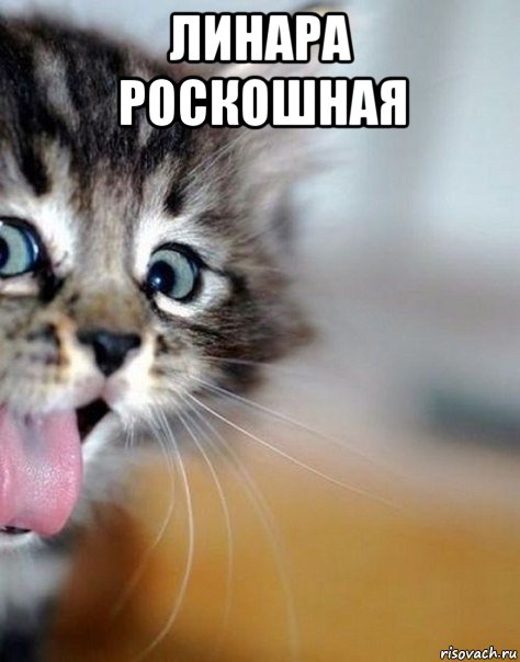линара роскошная 