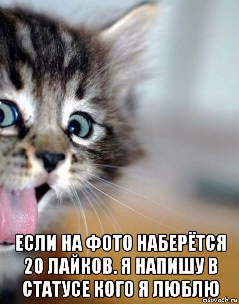  если на фото наберётся 20 лайков. я напишу в статусе кого я люблю