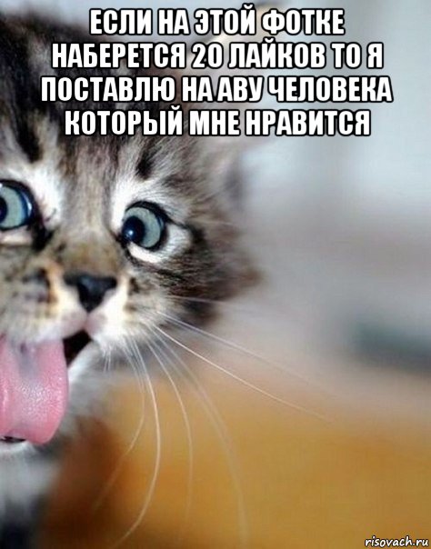 если на этой фотке наберется 20 лайков то я поставлю на аву человека который мне нравится 