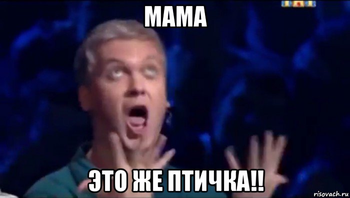 мама это же птичка!!, Мем  Это ШЕДЕВР