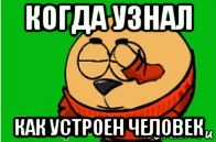 когда узнал как устроен человек