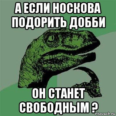 а если носкова подорить добби он станет свободным ?, Мем Филосораптор