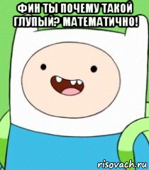 фин ты почему такой глупый? математично! , Мем  Фин